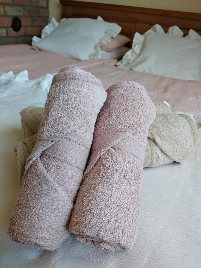 U Anny Smejdirky Apartment Nymburk Luaran gambar
